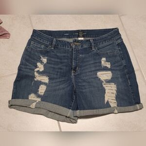Lane Bryant Distressed Denim Shorts - Cuff and Frayed Boho Festival - Size 14
